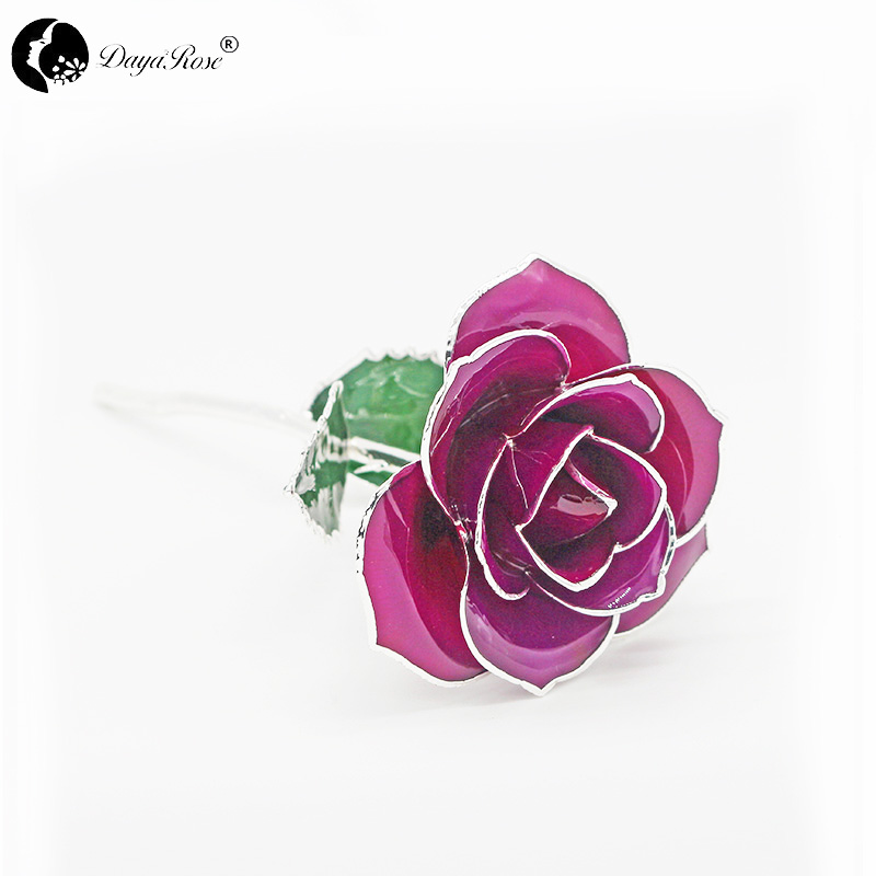 Purple Rose with Silver Lining(October)