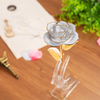 Daiya White Rose 24K Gold (gold Leaf)