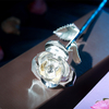 Love Is A Silver Rose (natural Rose)
