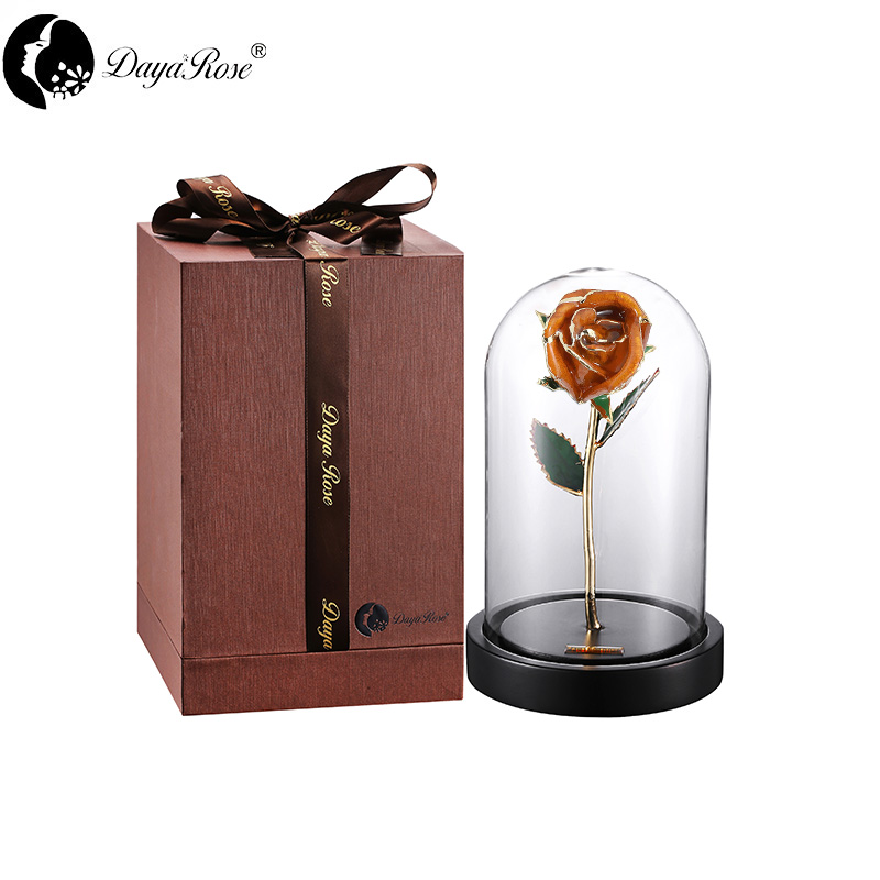 Daiya Gold Rosebud/orange+The Glass Cover