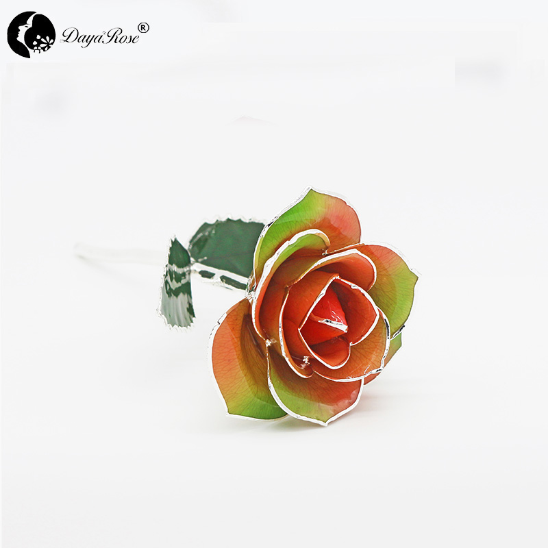 Rainbow with Silver Roses(June)