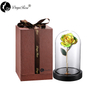 Wholesale Processing Customized Diana Yellow And Green Two-color Gold Rose （The Glass Cover）